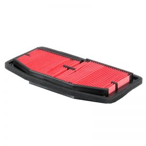 Filtr powietrza do  TRIUMPH 765 STREETTRIPLE R / S / RS 2017 - 2018 - 2019 BY HIFLO FILTRO