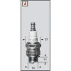 Spark plug CHAMPION RJ18YC CCH58