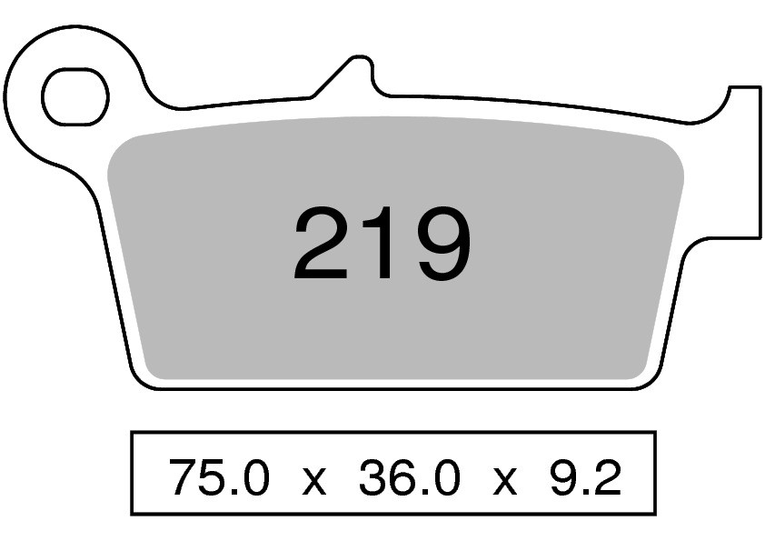 Pastiglie freno posteriori sinterizzate TROFEO  compatibili con  AJP PR5 250 ENDURO – SUPERMOTARD 2009 –