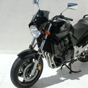 Cupolino roxy Yamaha XJR 1200 95-98 Ermax
